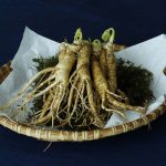 ginseng1506_동의보감