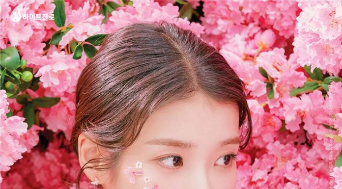 하이트진로 소주 Hitejinro soju 하이트진로 hite_jinro_참이슬fresh