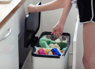 NSW 정부, 모든 가구에 음식물쓰레기 수거함 배급 예정 new bin for food scraps and organic waste will be introduced ... e government's ambitious strategy to slash waste. (Getty)