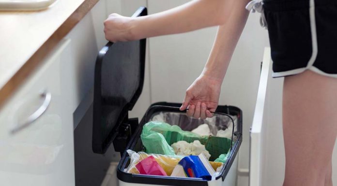 NSW 정부, 모든 가구에 음식물쓰레기 수거함 배급 예정 new bin for food scraps and organic waste will be introduced ... e government's ambitious strategy to slash waste. (Getty)