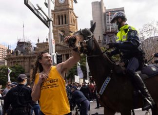 여·야가 록다운 항거 불법 집회 규탄 BROOK MITCHELL