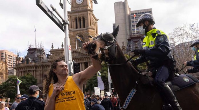 여·야가 록다운 항거 불법 집회 규탄 BROOK MITCHELL