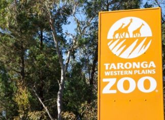 동물원 방문 여행사 벌금 $5000 The guests went to Dubbo Western Plains Zoo. Picture SuppliedSourceNews Corp Australia