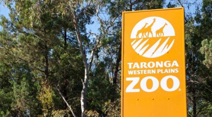 동물원 방문 여행사 벌금 $5000 The guests went to Dubbo Western Plains Zoo. Picture SuppliedSourceNews Corp Australia