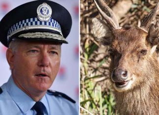 벌거벗은 나체 일광욕자 벌금 1000불 부과 Two nude sunbathers got ... y a deer, police say