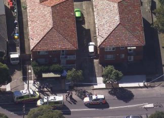 매릭빌(Marrickville) 칼부림 가해자, 대규모 작전으로 2시간만에 체포