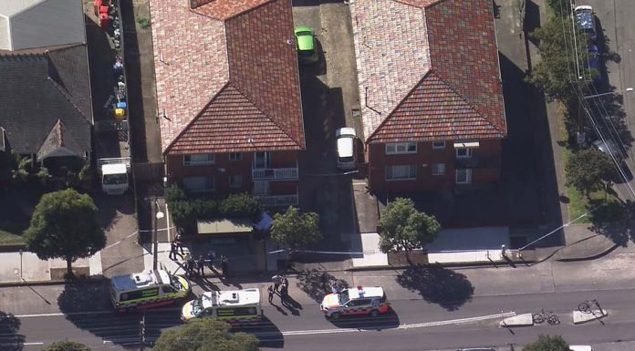 매릭빌(Marrickville) 칼부림 가해자, 대규모 작전으로 2시간만에 체포