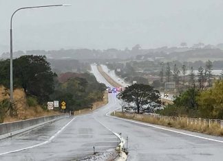 일라와라 지역에서 경찰 추격 피하려다 사고 낸 트럭 운전사 A woman has been left with life-threatening injuries after a serious crash in the NSW Illawarra region, 90 minutes south of Sydney. (WIN News Illawara)