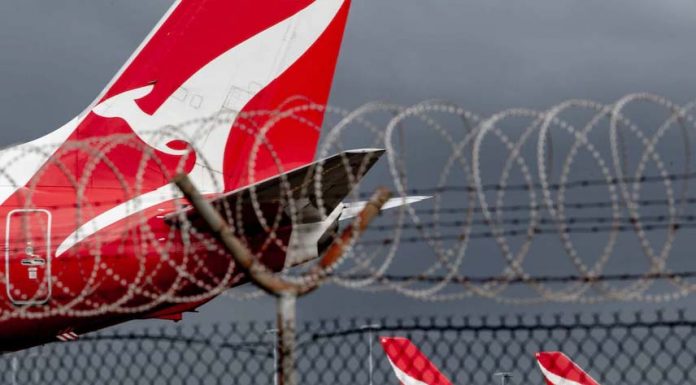콴타스 시드니 락다운 여파로 2,500명의 직원 무급 휴직 Lockdowns mean Qantas is flying at less than 40 per cent of its domestic capacity.(ABC News Brendan Esposito)