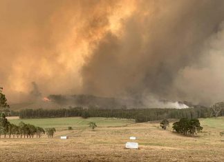 지구 온난화 가속, 호주의 미래는? Rob Miller’s dairy farm in Milton, NSW was hammered by the low milk price crisis, drought, bushfires and floods.SourceNews Corp Australia