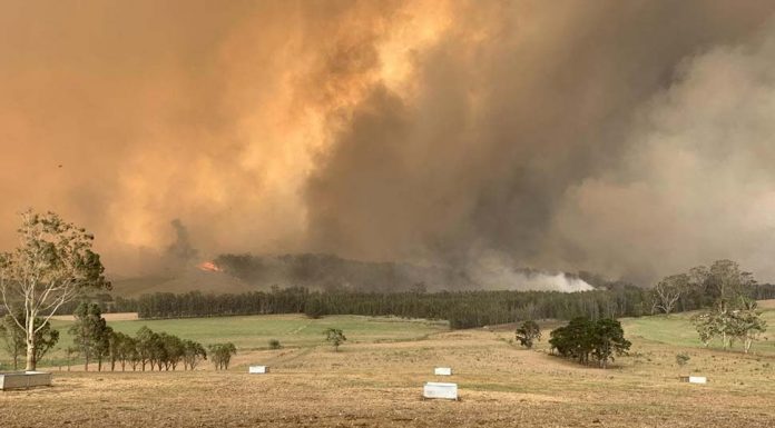 지구 온난화 가속, 호주의 미래는? Rob Miller’s dairy farm in Milton, NSW was hammered by the low milk price crisis, drought, bushfires and floods.SourceNews Corp Australia
