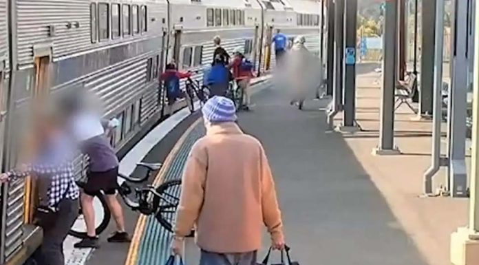 NSW 스프링우드역 플랫폼 사이로 추락한 소년, CCTV에 포착