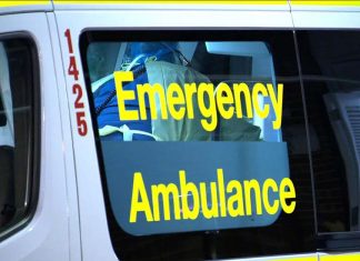 NSW 운전자가 닭장 철장에 맞아 숨져 The man was treated by paramedics before being airlifted to the Gold Coast.SourceSupplied