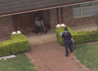 NSW에서 또 다시 발생한 키우던 반려견 공격 사건 Both women were taken to Liverpool Hospital in a serious but stable condition. Credit 7NEWS