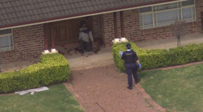 NSW에서 또 다시 발생한 키우던 반려견 공격 사건 Both women were taken to Liverpool Hospital in a serious but stable condition. Credit 7NEWS