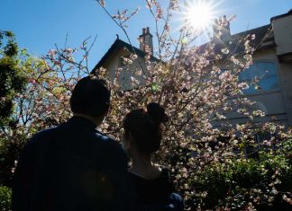 시드니, 100만 달러 부동산 메일 피싱사기