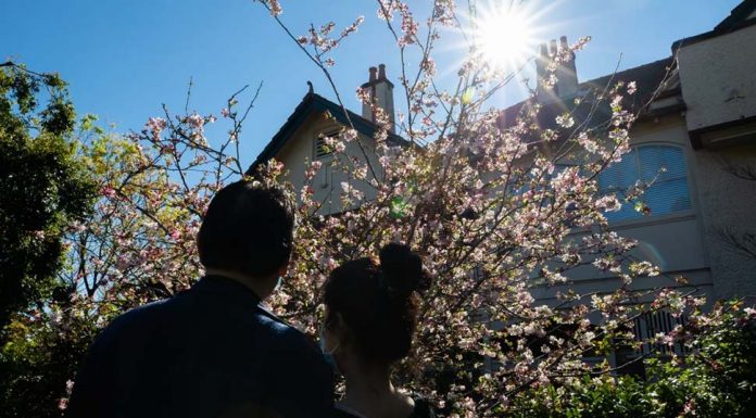 시드니, 100만 달러 부동산 메일 피싱사기