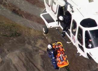 스텐웰 파크, 손자들과 나들이 간 조부모 극적 구조