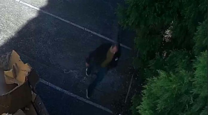 경찰, 발메인 차일드케어 밖에서 음란행위 한 남성 사진 공개