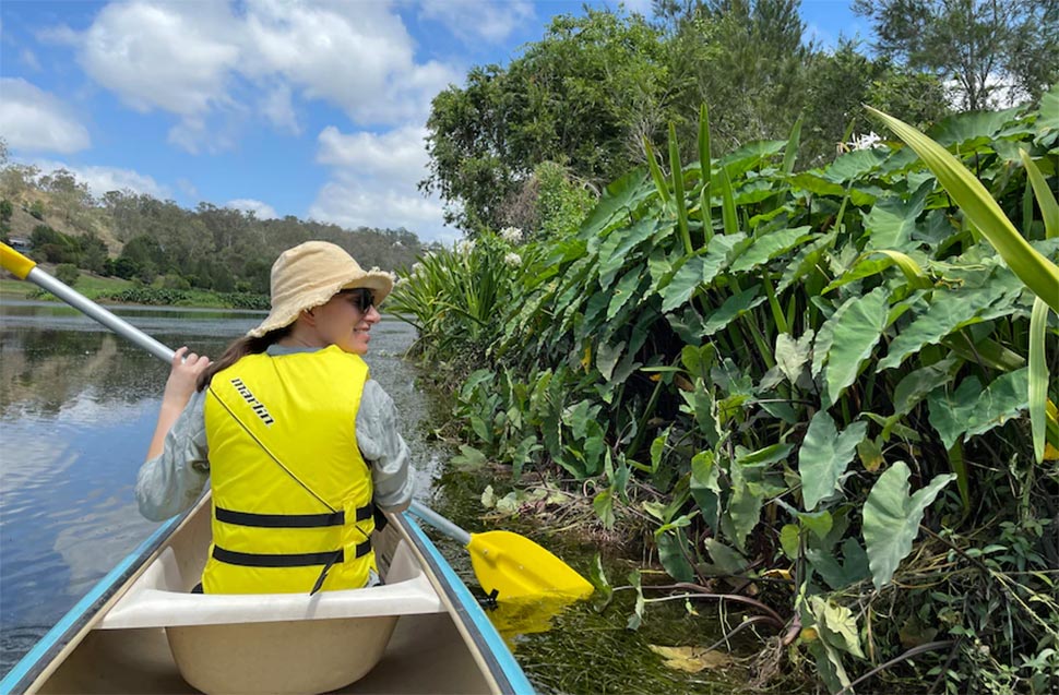 Dr Millicent Smith inspects some taro that is growing along the banks of the Brisbane River.(Supplied Dr Millicent Smith)