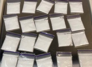 시드니 동부에서 마약 5만 달러 분량 압수 Police seized $50,000 worth of cocaine in Sydney's eastern suburbs over the weekend. (NSW Police)