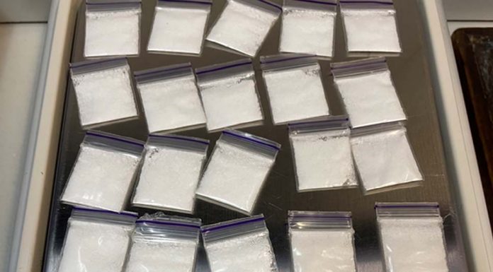시드니 동부에서 마약 5만 달러 분량 압수 Police seized $50,000 worth of cocaine in Sydney's eastern suburbs over the weekend. (NSW Police)