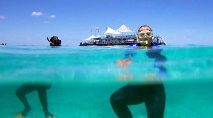 ‘해외 여행 예약 취소 환불 불만’에 소비자 보호 강화 Holiday fun on the Great Barrier Reef amid calls for stronger national consumer protections.CREDITISTOCK