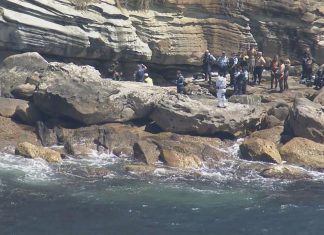 커넬 국립 공원(Kurnell National Park)에서 스쿠버 다이빙 하던 남성 사망 NSW Ambulance Inspector David Matthews said it was a very sad scene for everyone involved. (9News)