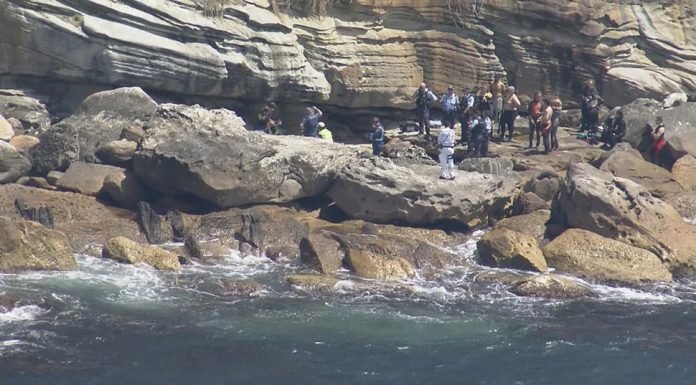 커넬 국립 공원(Kurnell National Park)에서 스쿠버 다이빙 하던 남성 사망 NSW Ambulance Inspector David Matthews said it was a very sad scene for everyone involved. (9News)