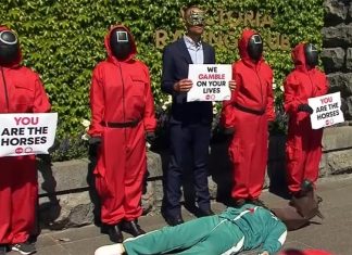 ‘멜버른 컵 규탄’ 시위대 오징어 게임 코스튬 Protest against Melbourne Cup (Nine)