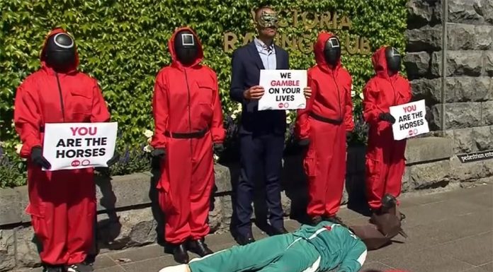 ‘멜버른 컵 규탄’ 시위대 오징어 게임 코스튬 Protest against Melbourne Cup (Nine)