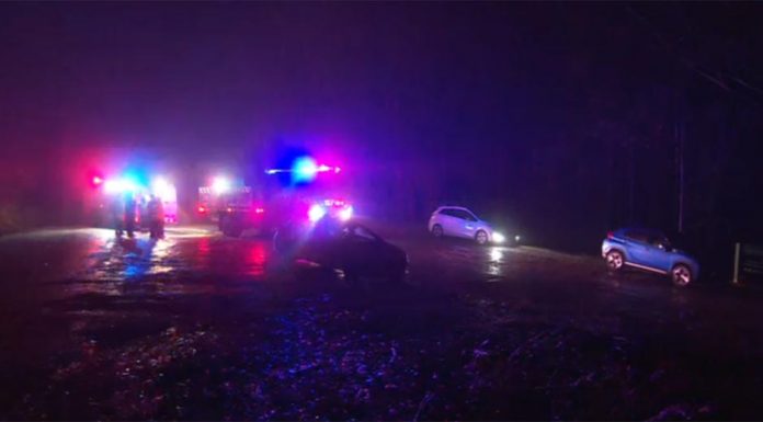 NSW 부시워킹 중 와타간스 국립공원에서 여성 사망