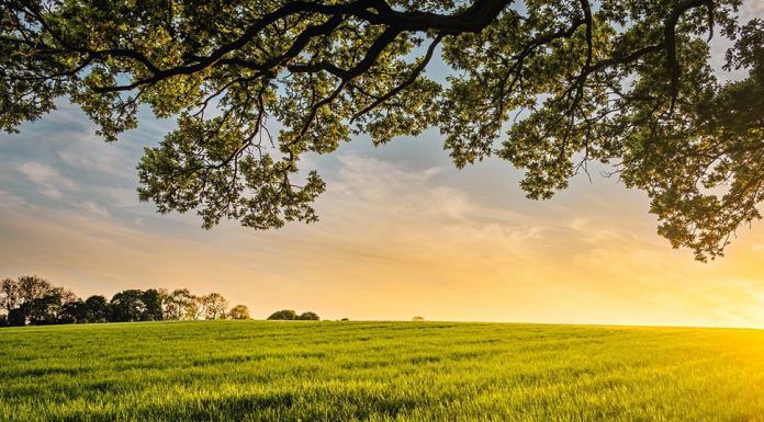 호주, 탄소 배출량 저감 사업 실시중