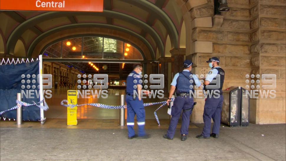 A man has been charged following an alleged domestic violence-related stabbing at Sydney's Central Railway Station. (9News)