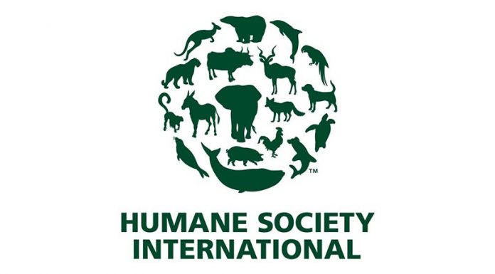 개 잡는 선진국, 대한민국 Humane Society International logo