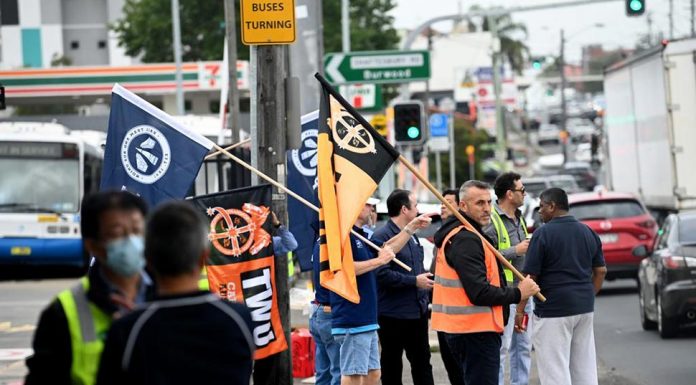 시드니 버스 운전사 파업으로 퇴근시간 교통 대란