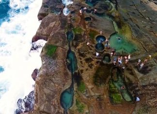 익사율이 높은 NSW 국립공원에 풀타임 구조대원 고용 제기 There are calls for the State Government to station full-time lifeguards in national parks. (9News)