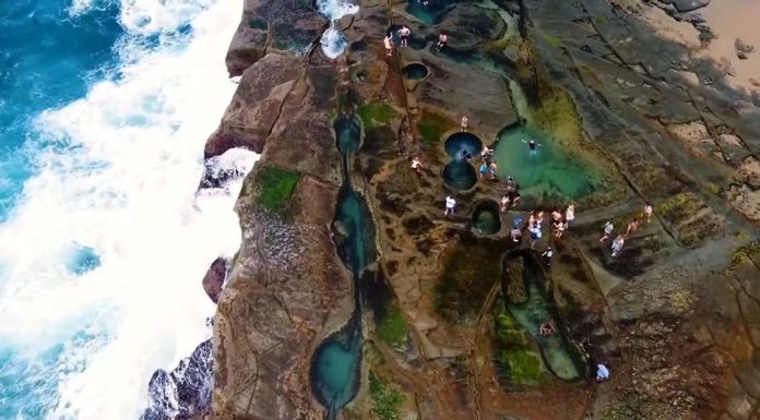 익사율이 높은 NSW 국립공원에 풀타임 구조대원 고용 제기 There are calls for the State Government to station full-time lifeguards in national parks. (9News)