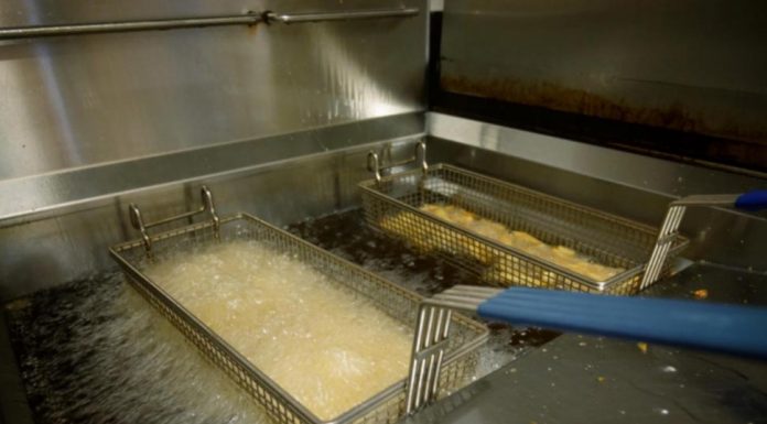 국제유가 급등에 스몰 비지니스 어려움으로 스트레스 가중 Canola oil is a key ingredient in manufacturing a frying fish and chips. (ABC Rural: Jessica Hayes)