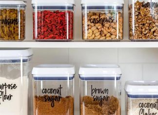 시드니 바퀴벌레 급증