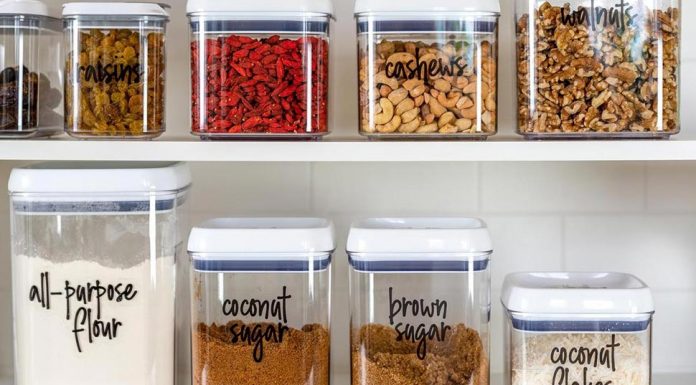 시드니 바퀴벌레 급증