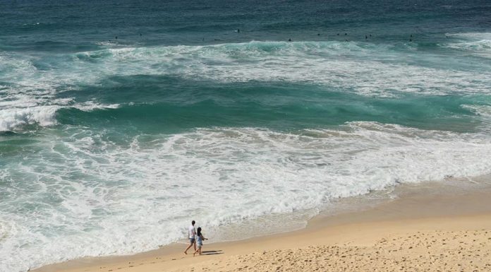 시드니에서 가장 오염된 해변가 수영 장소는? Bronte was one of the most polluted beaches after the recent rain