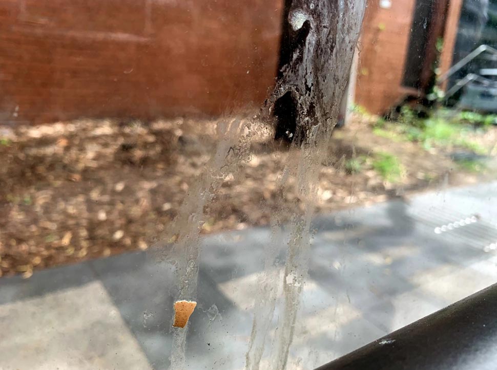 Eggs stuck on the wall of a bus shelter after the alleged attacks against gay men.(Supplied ABC News Aaron Hollett)