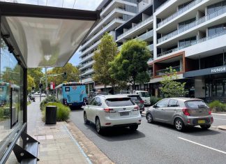 시드니 CBD에서 10대 소년, 동성애 남성 향한 혐오 범죄 It's alleged a man waiting at this bus stop in Waterloo was hit with eggs in the eye and chest. (ABC News Mark Reddie)