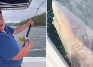 시드니 10대 거대한 2.8m 황소상어 낚어 Teenager Addison Hodge reels in the bull shark. (Supplied2GB)