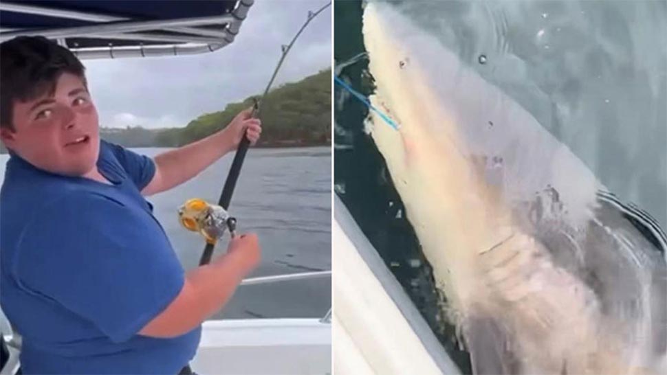 Teenager Addison Hodge reels in the bull shark. (Supplied2GB)