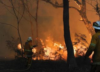 호주 블랙 서머 희생자들에게 1억 1천만 달러 추가 지원금 지급 Those still trying to recover from the Black Summer bushfires have been allocated another $110m. Credit AAP