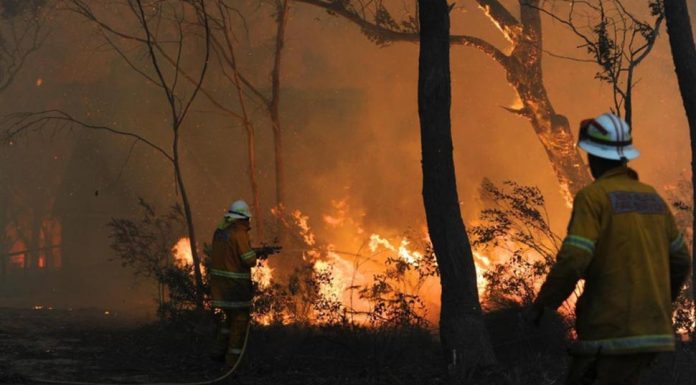 호주 블랙 서머 희생자들에게 1억 1천만 달러 추가 지원금 지급 Those still trying to recover from the Black Summer bushfires have been allocated another $110m. Credit AAP