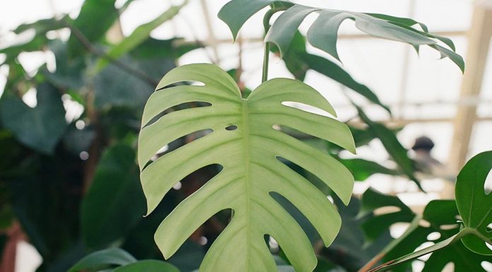 버닝스에서 산30불짜리 상품, 알고보니 1,200불의 가치