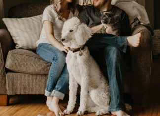 커플이 헤어질 때, 애완동물의 운명은? The best interests of the family pet aren't always prioritised in Australian courts, when couples split up.(Unsplash: Sarandy Westfall